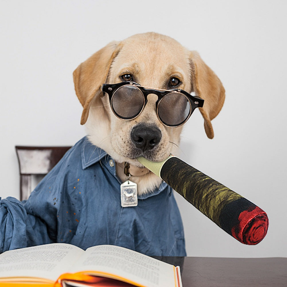 Pet toys and games