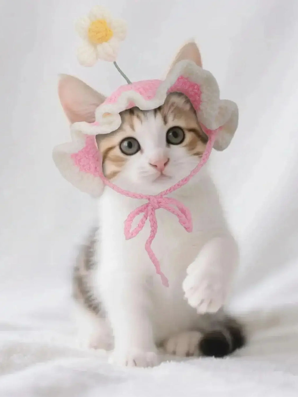 Cat Hat, Cute Flower Crochet Cat Hat Knitted Costume Headwear for Kitten Dog Puppy Pet Small Knit Cap Clothes Decoration
