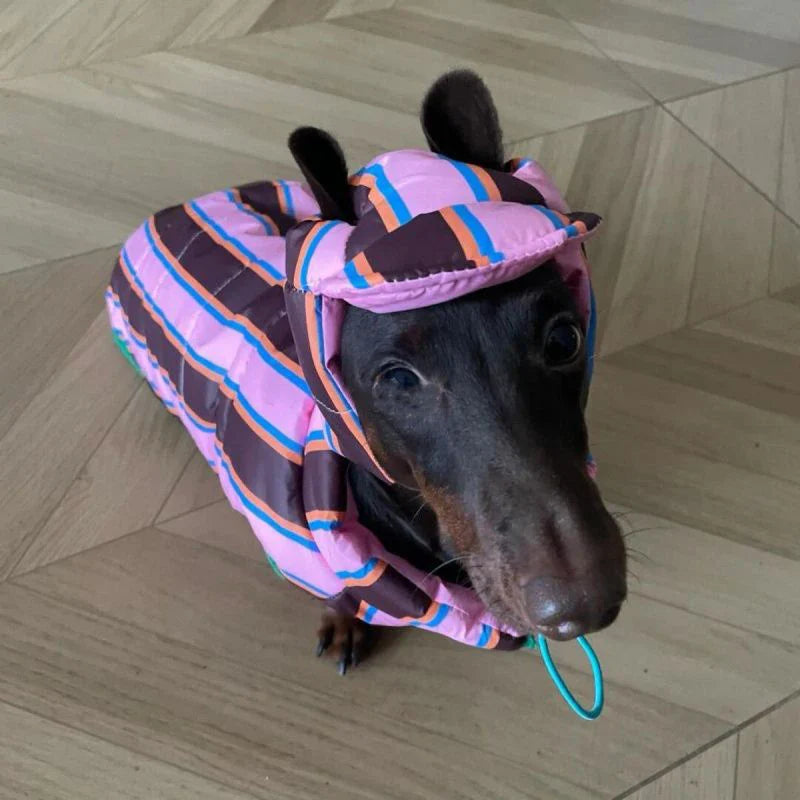 Autumn Winter Warm  Pet Clothing Stripe Double Sided Wearable Dogs Cats Wadded Jacket Cute Soft Thickened Small Dog Cotton Coat