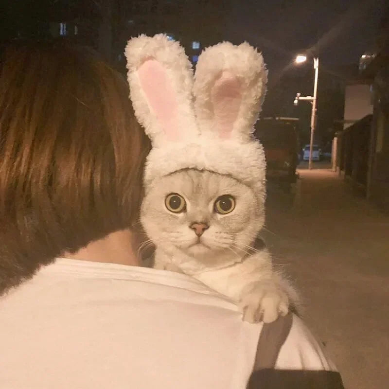 Christmas Cat Clothes Bat Wings Dog Costume Bowknot Cat Collar Cosplay Necklace Scarf Summer Sun Hat Pet Dog Cat Cowboy Hats