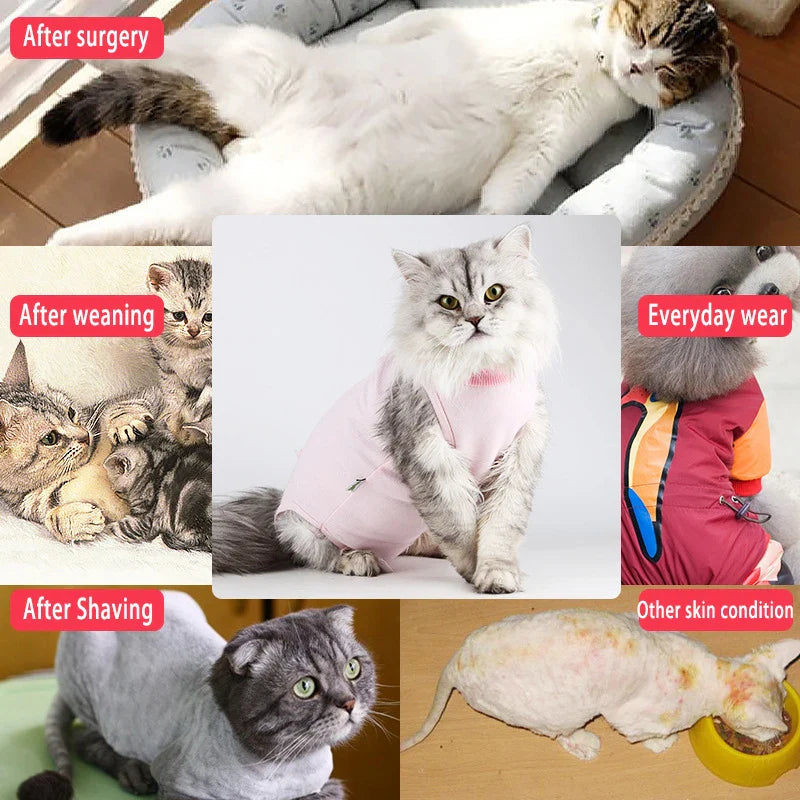 Pet Cat Recovery Suit for Abdominal Wounds or Skin Diseases E-Collar Alternative, After Surgery Wear Onesie Bodysuit Cat Clothes