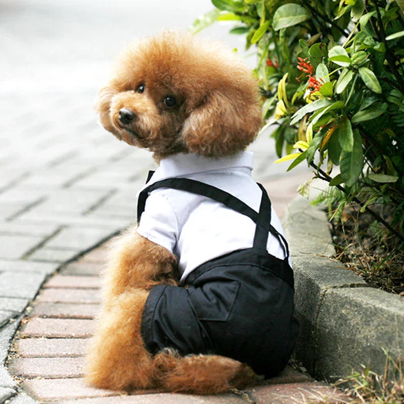 Dog Clothes Cat Prince Wedding Costume Cute Gentleman Cachorro Mascotas Chihuahua Tuxedo Bowtie Puppy Coat Pets Supplies