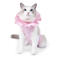 Cat Recovery Suit Sterilization Post-Operative Clothes Prevent Lick After Surgery Recovery Protection Suit Cat Weaning Bodysuit