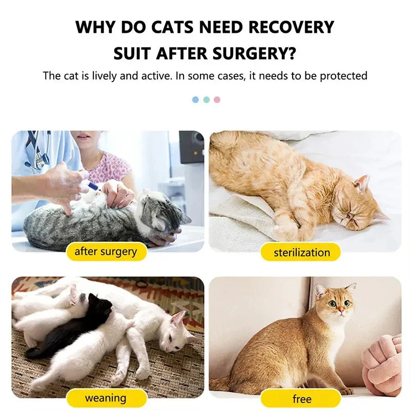 Cat Recovery Suit Sterilization Post-Operative Clothes Prevent Lick After Surgery Recovery Protection Suit Cat Weaning Bodysuit