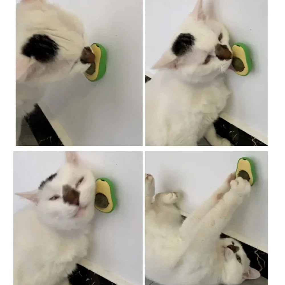 Natural Catnip Healthy Rotatable Wall Stick-on Ball Cats Teeth Cleaning Catnip Ball Toys cat Catnip Scratching Supplies