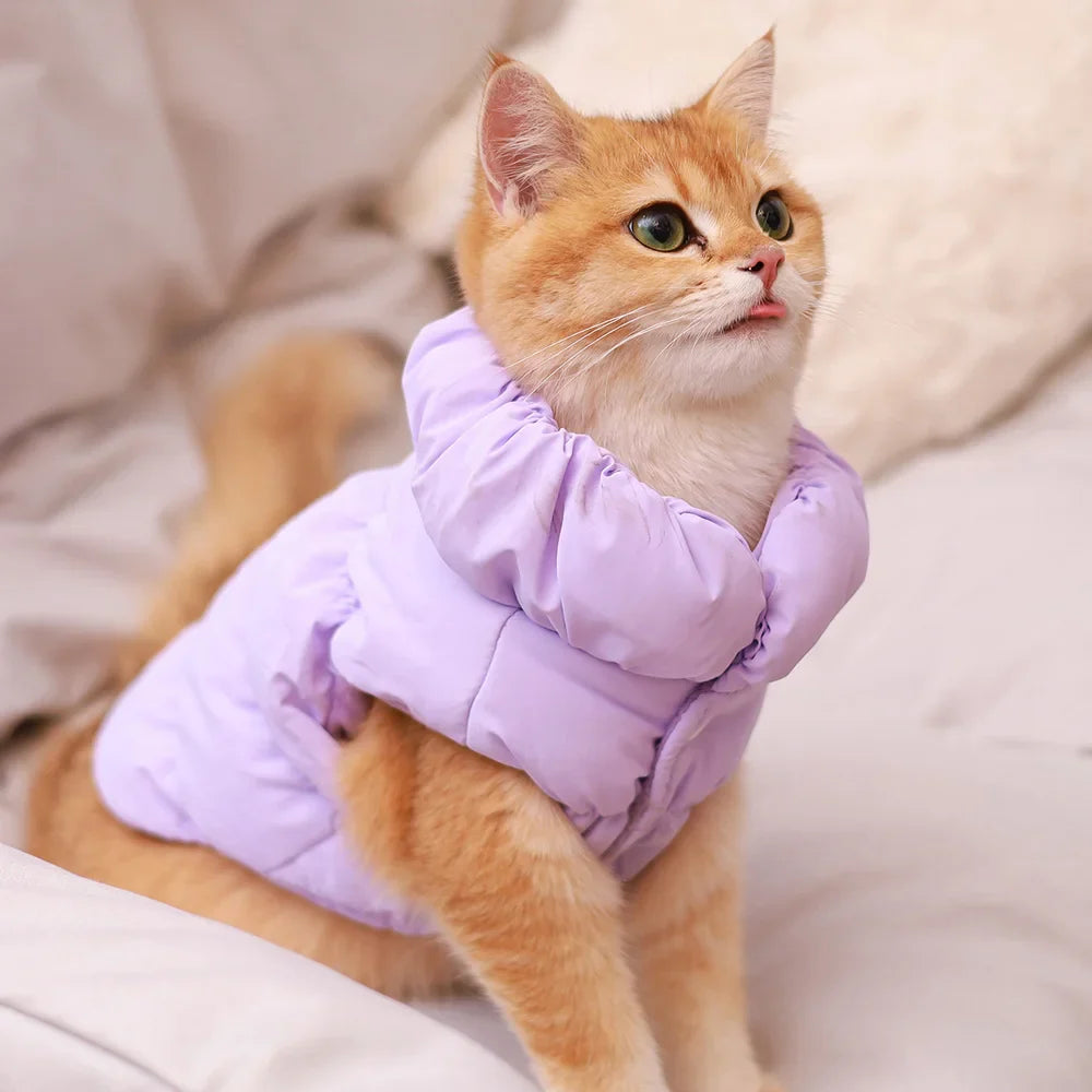 Soft Warm Dog Clothes Winter Padded Puppy Cat Coat Jacket For Small Medium Dogs Chihuahua French Bulldog Poodle Vest Pet Outfit