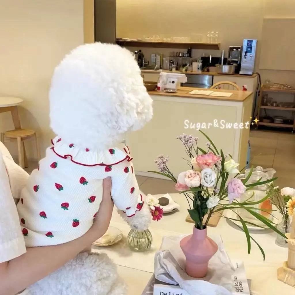Pet Clothes,Dog T-Shirt Puppy Clothes Dog Skirt Dress Cats Clothes for Small Dogs Cats Puppy