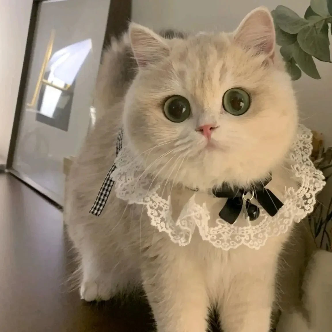 Pearl Dog Collar Jewelled Silk Wedding Cat Puppy Ribbon Scarf Pendant Pet Bows Necklace Satin New Kitten Accessories Bowtie Gift