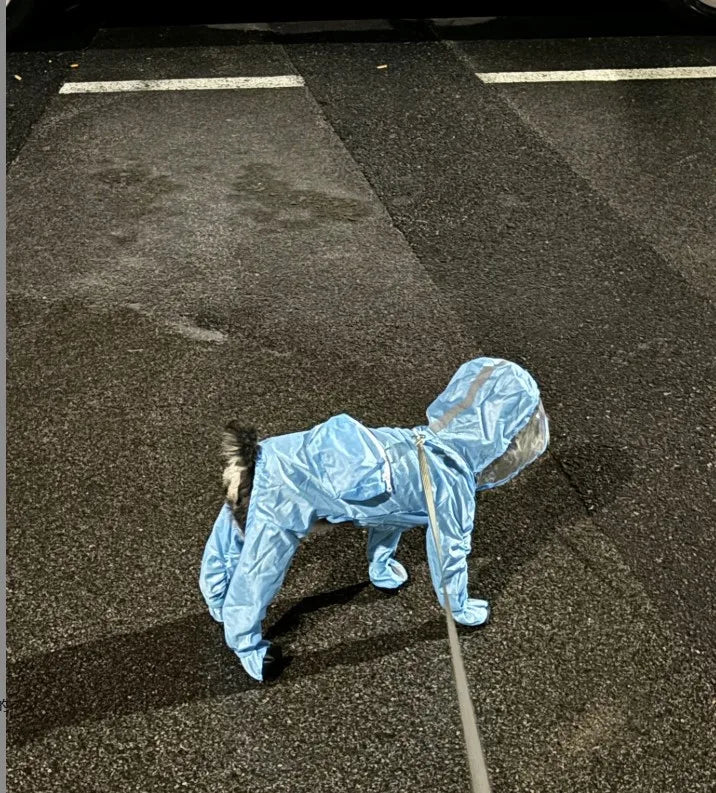 Raincoat For Small Medium large Dog Cat Waterproof All-inclusive Pet Cloak Costume Dog Rainy Day Keep Dry Rain Boots Clothes