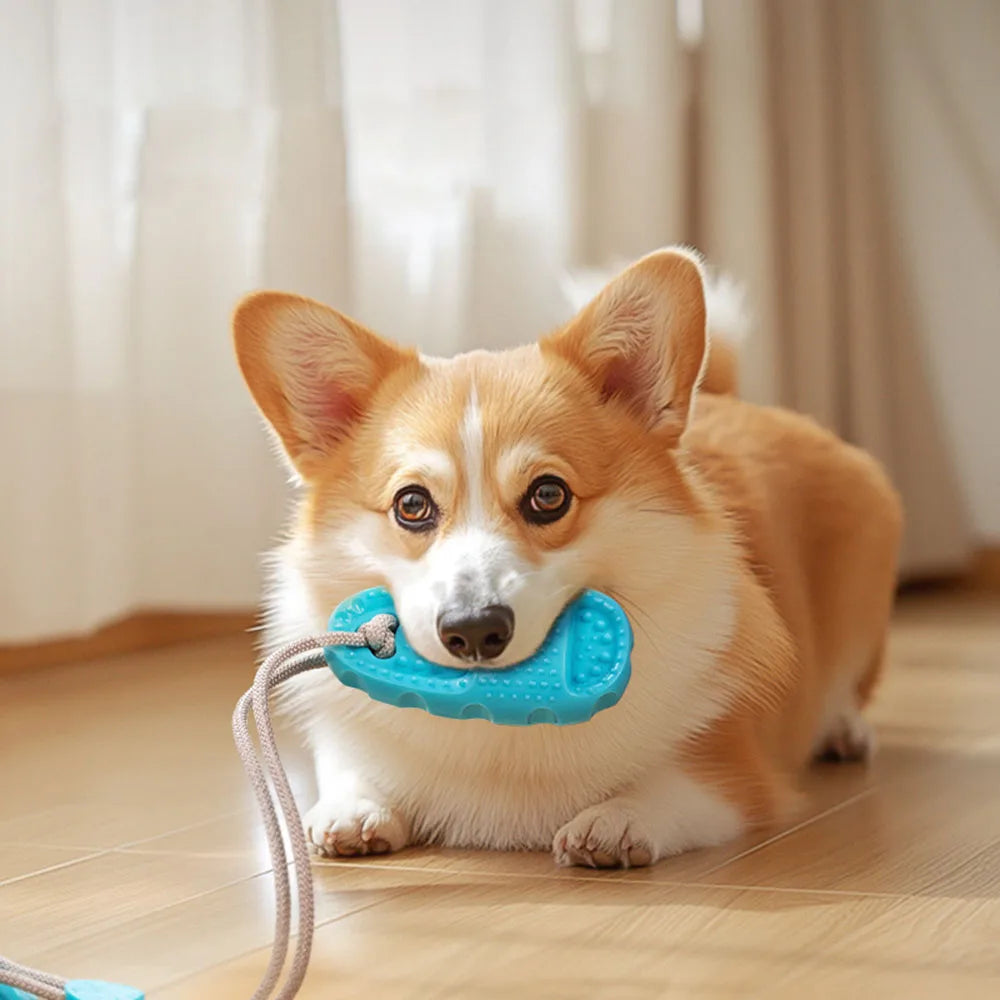 Pet Supplies: Suction Cup Slipper Dog Toy - Bite-Resistant & Durable Chew Toy for Dogs
