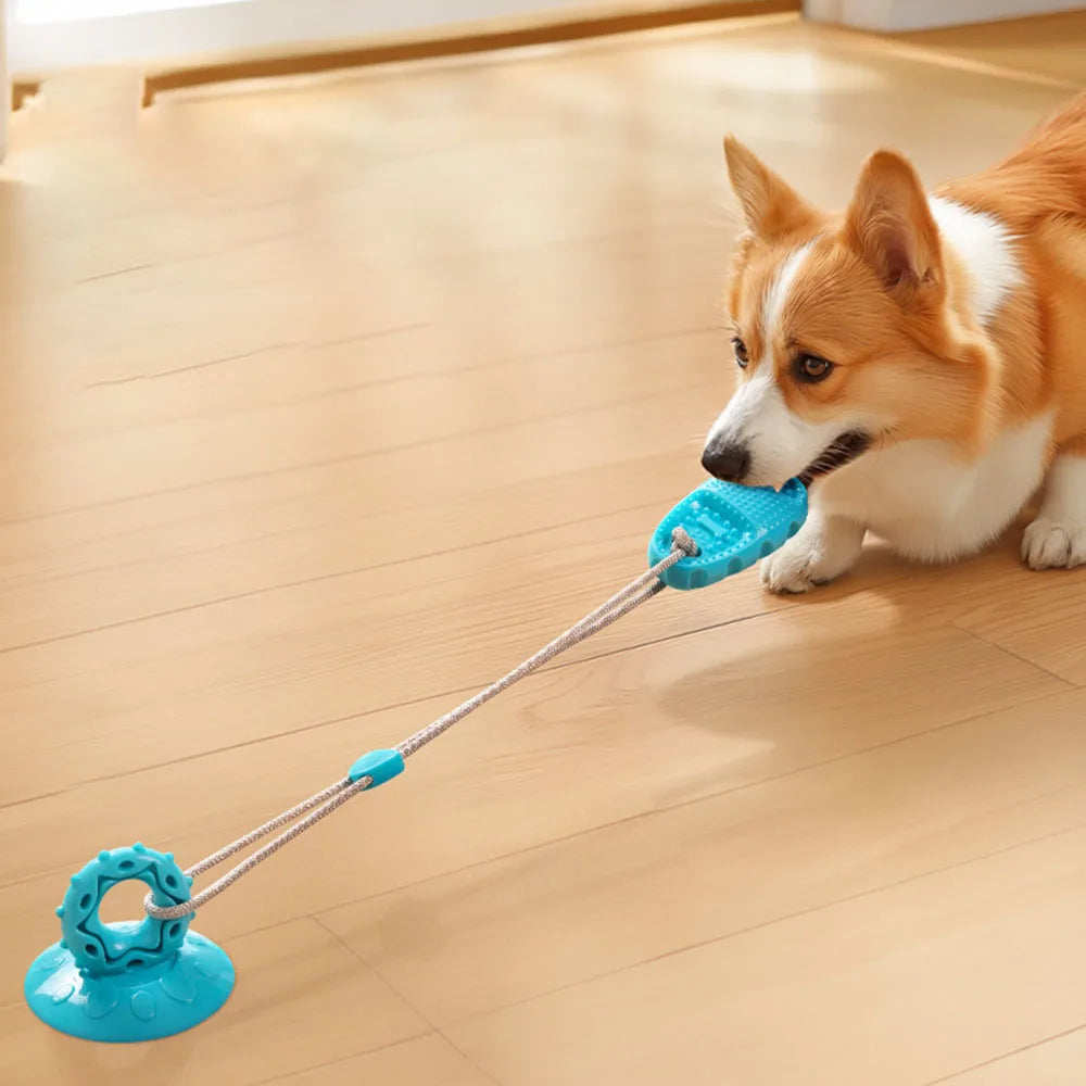 Pet Supplies: Suction Cup Slipper Dog Toy - Bite-Resistant & Durable Chew Toy for Dogs